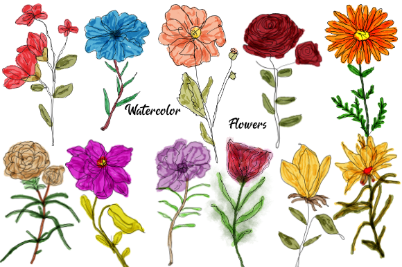 Download Watercolor Flowers | Sublimation | PNG - Sublimation Collection