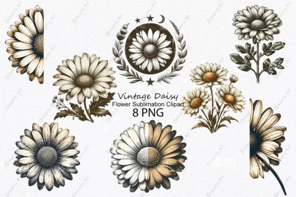 Download Vintage Daisy Flower Sublimation Clipart - Sublimation Collection