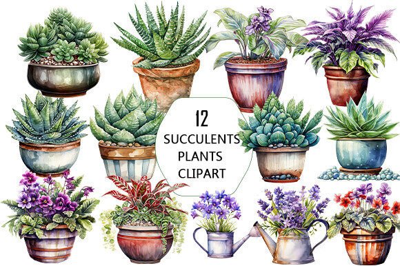 Download SUCCULENTS WATERCOLOR PLANTS SUBLIMAION - Plant Collection