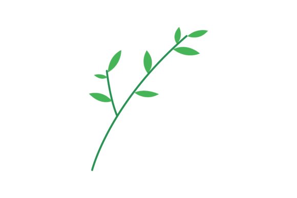Download Skincare Spa Aromatic Plant, Product for - Plant Collection