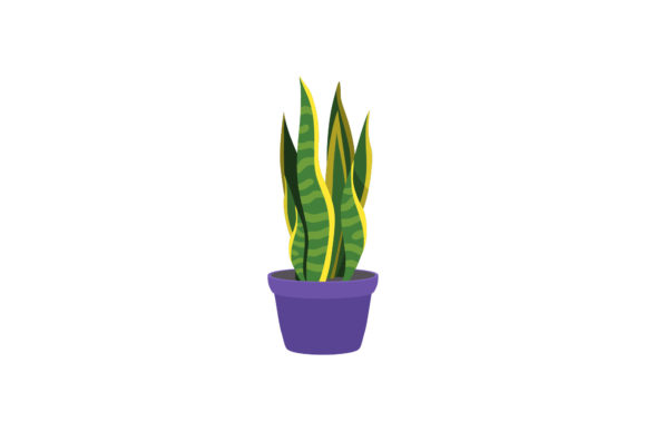 Download Jungle Summer Plant Icon Grow - Plant Collection