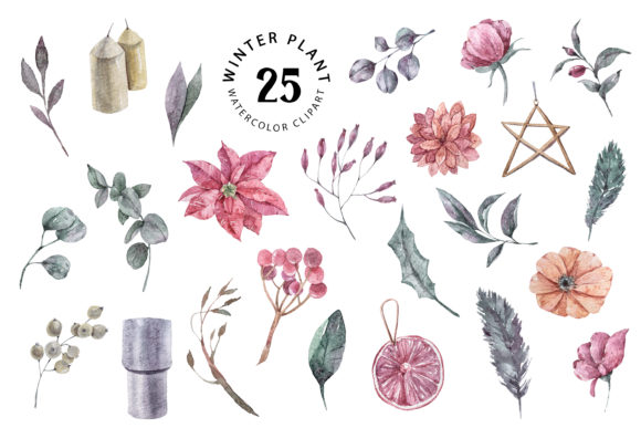 Download Christmas Watercolor Plants Clipart - Plant Collection