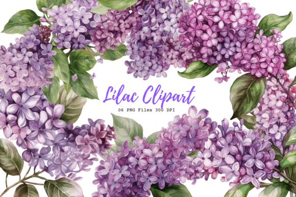 Download Lilac Clipart - Lilac clipart Collection