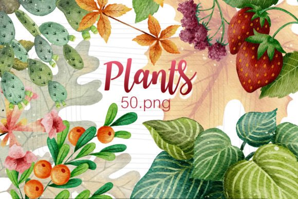 Download Watercolor Plants - Plant Collection