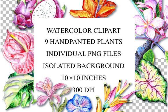 Download Watercolor Plants Clipart, PNG - Plant Collection