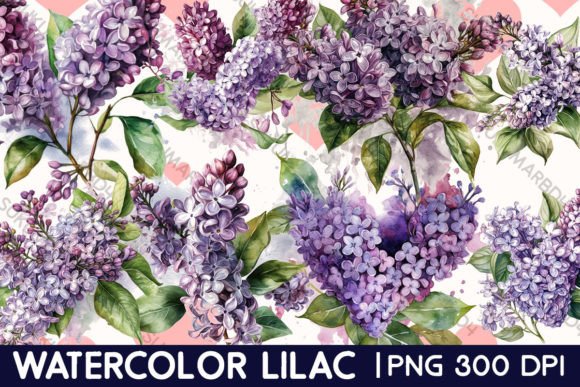 Download Watercolor Lilac Clipart - Lilac clipart Collection