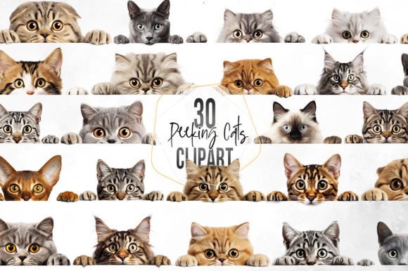 Download Peeking Cats Sublimation Clipart - Sublimation Collection
