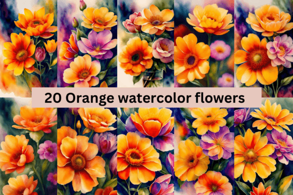 Download #2 Orange Watercolor Flowers Bundle - Watercolor flowers bundle Collection