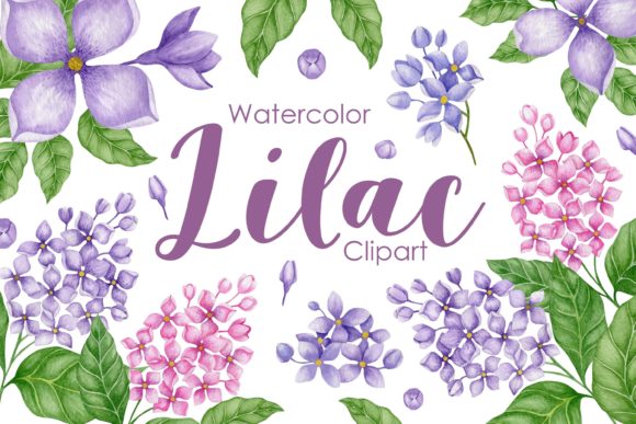 Download Watercolor Lilac Clipart - Premium Bundle